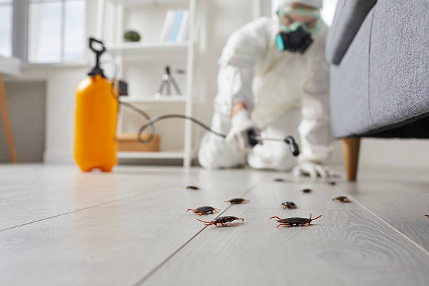 Post-Treatment Bed Bug Interceptor Monitoring in Cascades