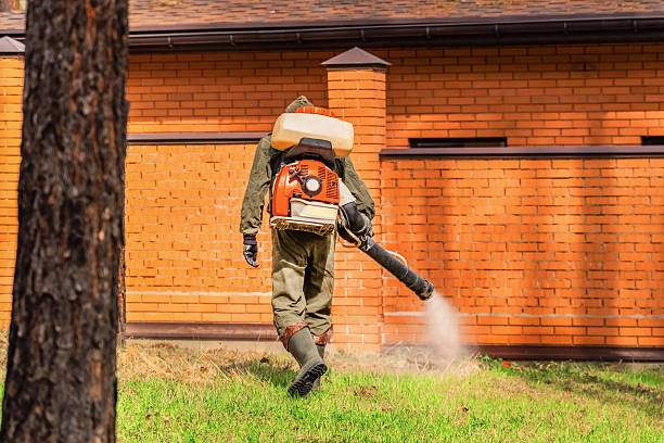 Bed Bug Clearance Verification and Documentation in Cascades